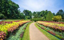 royal-botanical-gardens-peradeniya පේරාදෙණිය