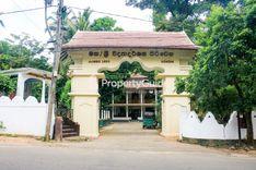 sri vidyadarshana piriwena wattegama වත්තේගම