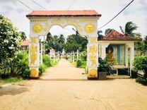 පල්ලේපොල Property Insights