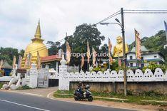 the golden temple dambulla දඹුල්ල