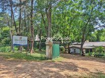 thanayama-wellawaya வெல்லவாய