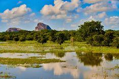 yala-national-park හම්බන්තොට